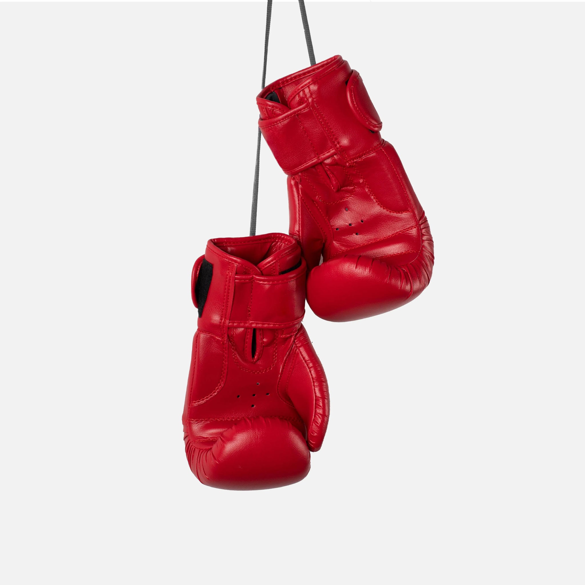 Boxing Gloves gsgplanet